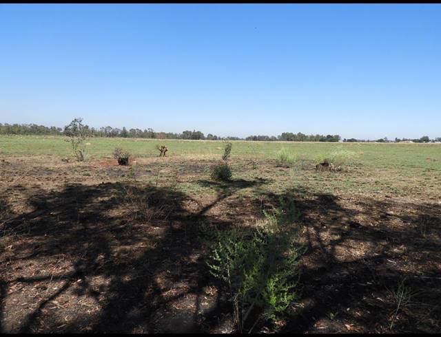 115,300M² VACANT LAND FOR SALE IN DE DEUR